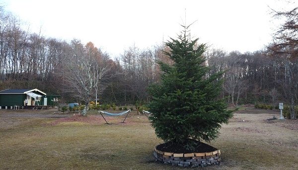 北軽井沢　どんぐり山の一番星キャンプ場